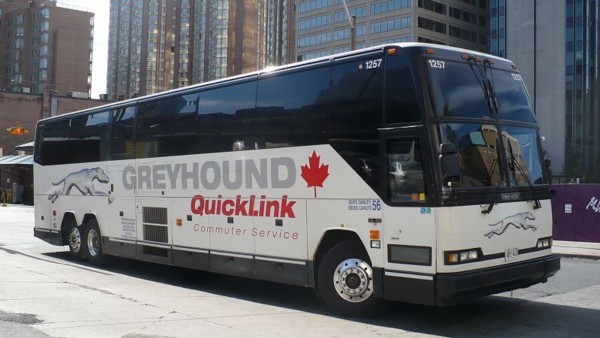 Greyhound-bus.JPG (58 KB)