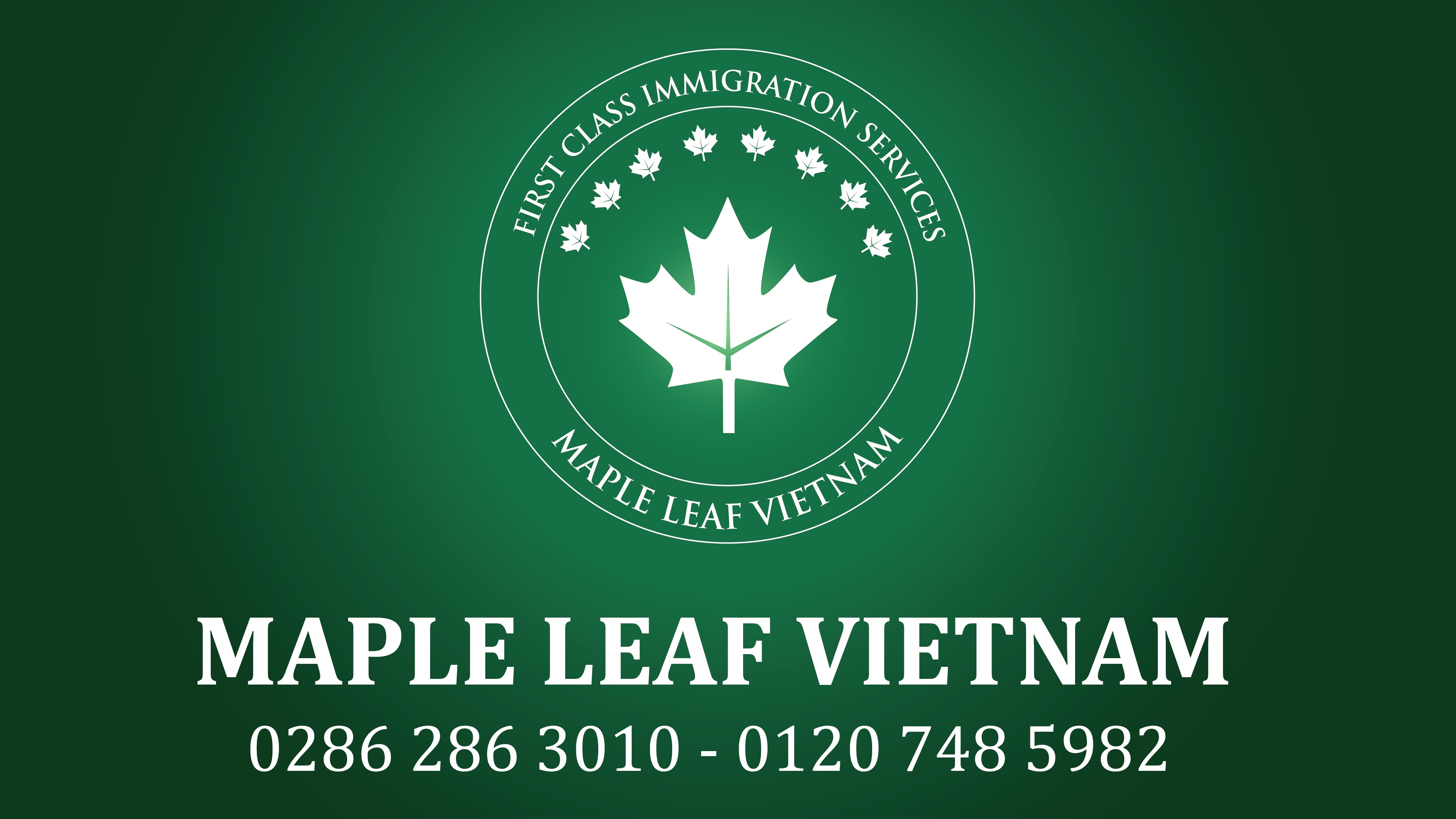 diem-lai-hanh-trinh-6-thang-dau-nam-cung-maple-leaf-vietnam