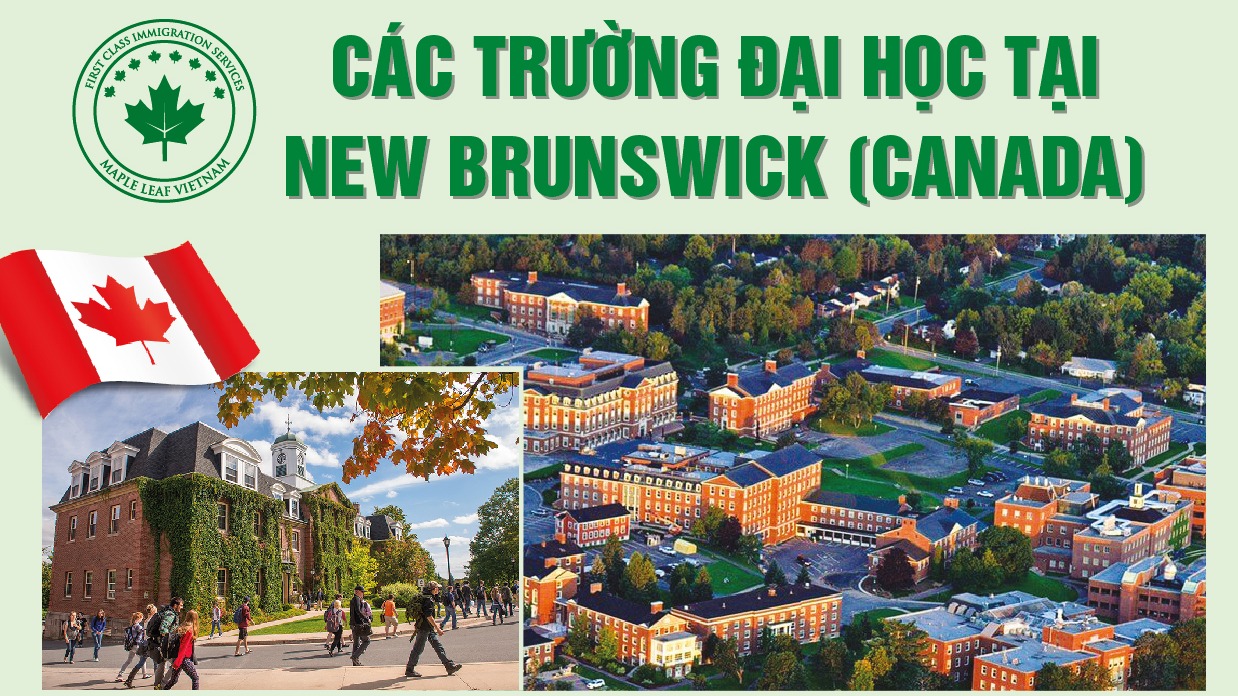 cac-truong-dai-hoc-tai-new-brunswick-canada