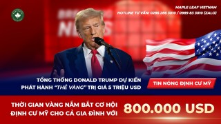 tat-ca-nhung-gi-quy-khach-hang-can-biet-chuong-trinh-visa-the-vang-5-trieu-usd-cua-tong-thong-trump