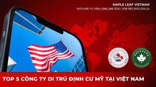 top-5-cong-ty-tu-van-dinh-cu-my-uy-tin-tai-viet-nam