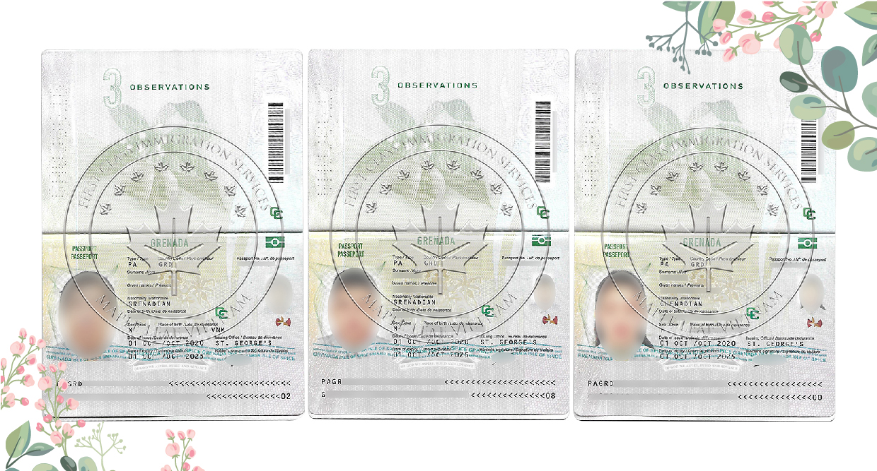 Cao Tuan Nguyen - Grenadian Passport - ALL-01.jpg (691 KB)
