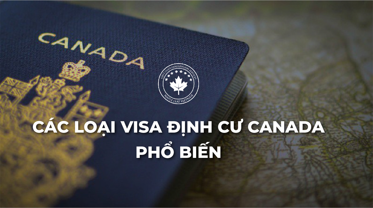 Các loại Visa định cư Canada phổ biến-01.jpg (693 KB)