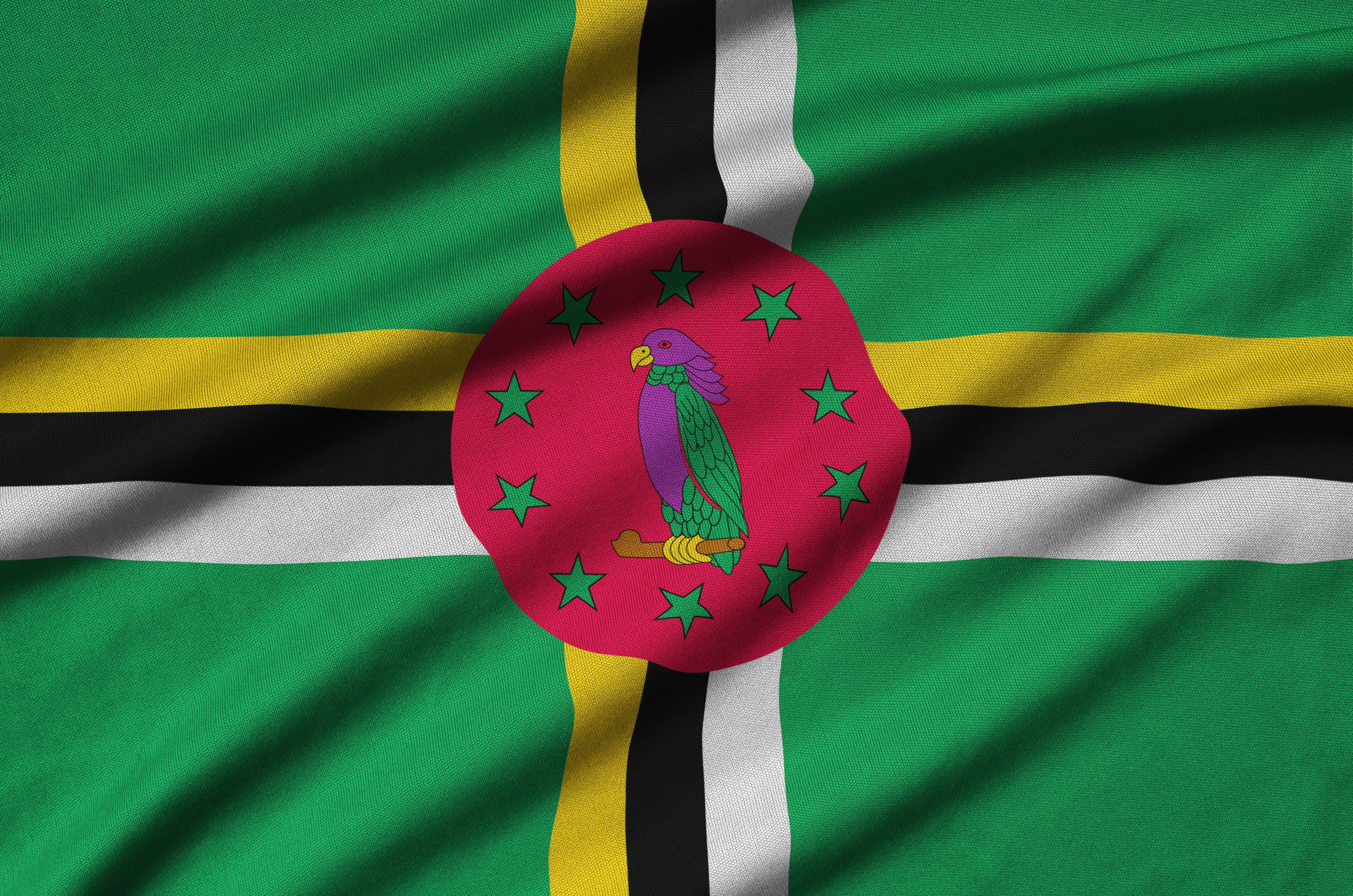 dominica-flag-is-depicted-on-a-sports-cloth-fabric-N4CJ8BD.jpg (14.34 MB)