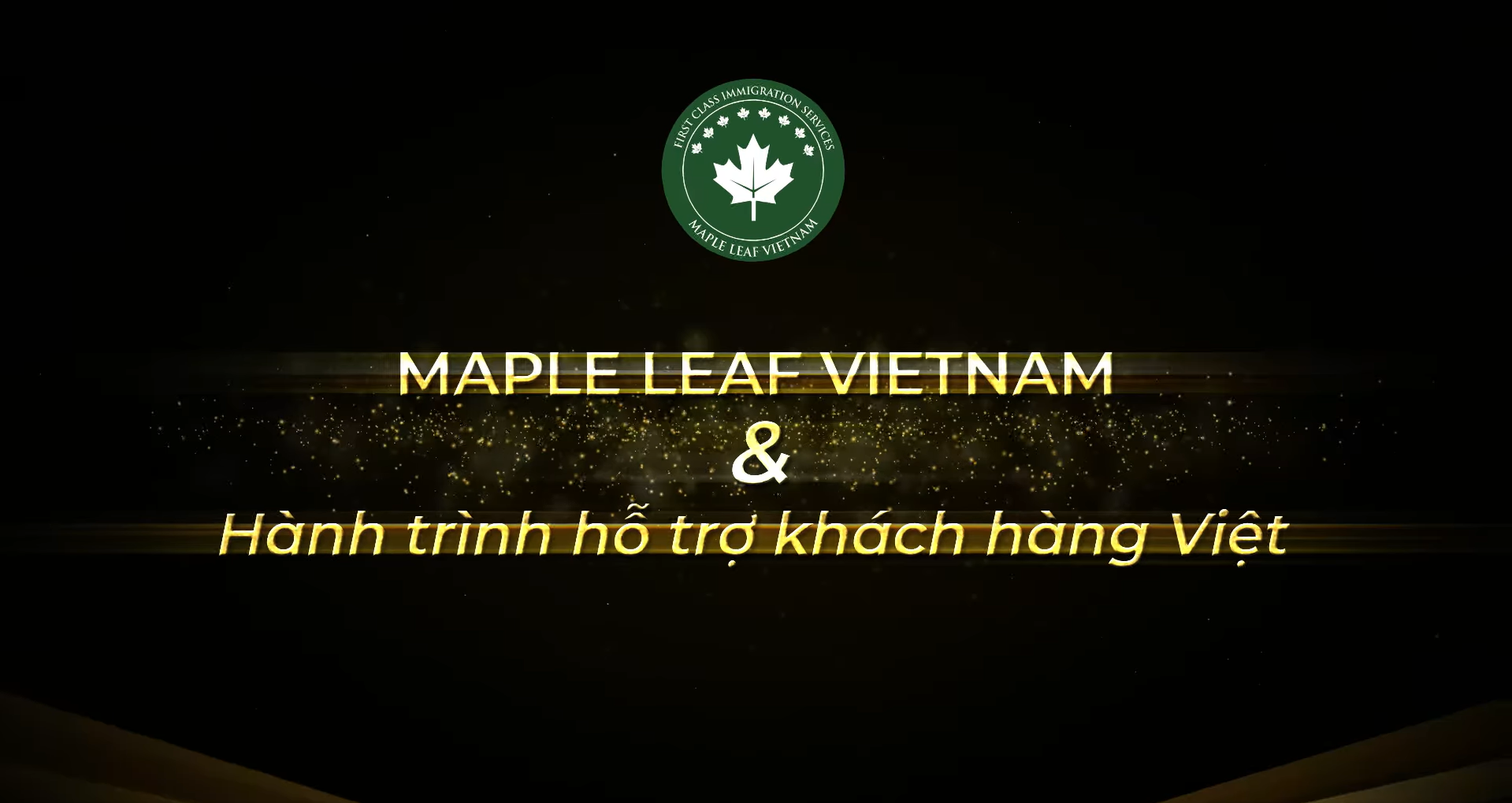 Thành tự của Maple Leaf Việt Nam qua số lượng hồ sơ thành công
