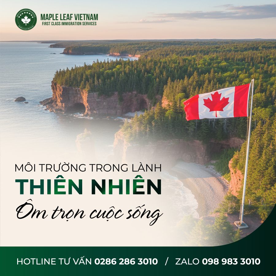 CUỘC SỐNG THỰC TẾ TẠI NEW BRUNSWICK – BỨC TRANH CHÂN THẬT VỀ MỘT TỈNH BANG AN TOÀN, THÂN THIỆN & DỄ HÒA NHẬP NHẤT CANADA